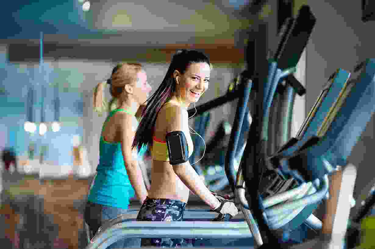 Cras tristique purus non lacus